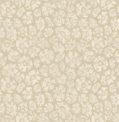 3 Rolls of Cole & Son Wallpaper 119/4021 Savanna Shell
