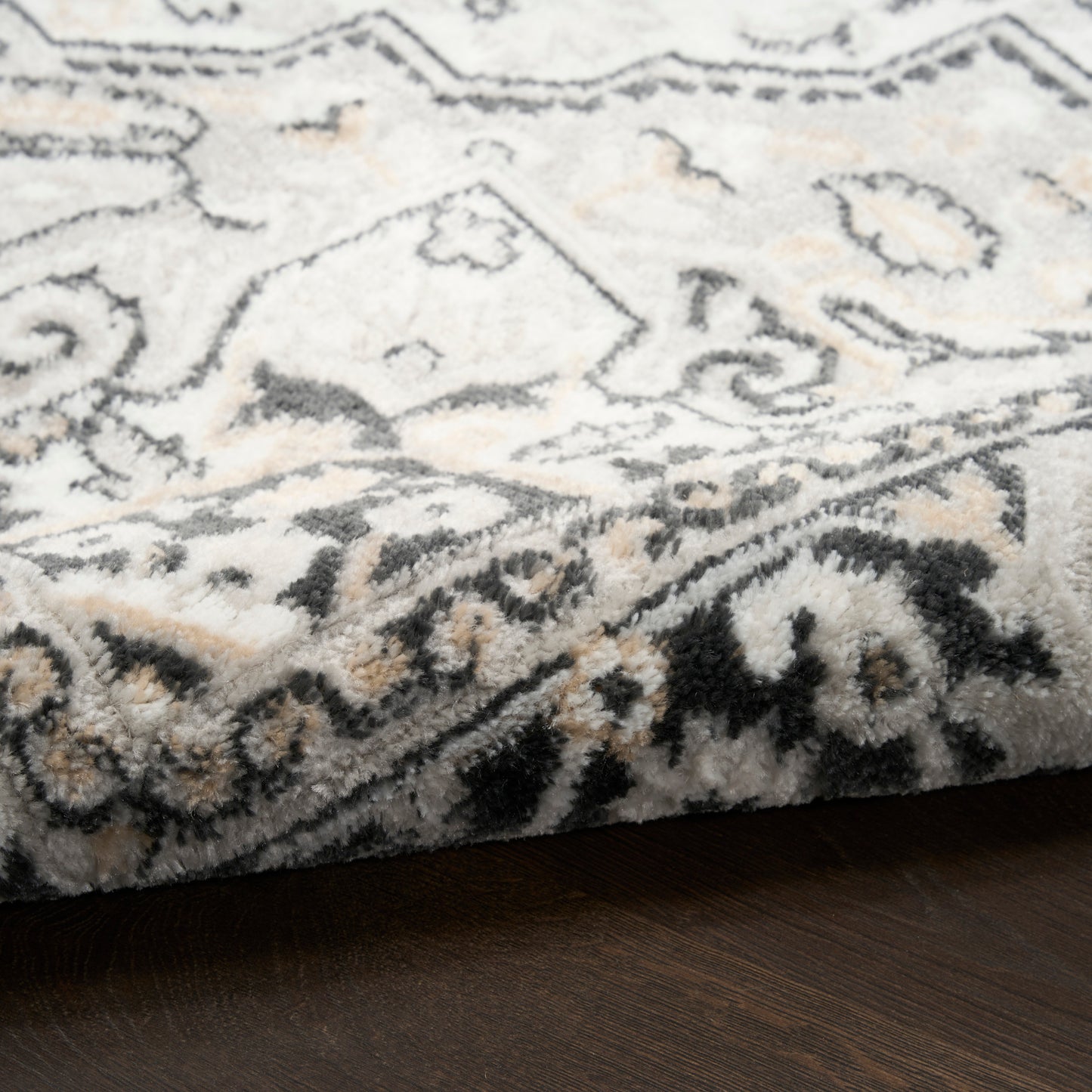 Ivory & charcoal patterned rug with ornate border, plush pile on dark wood floor.