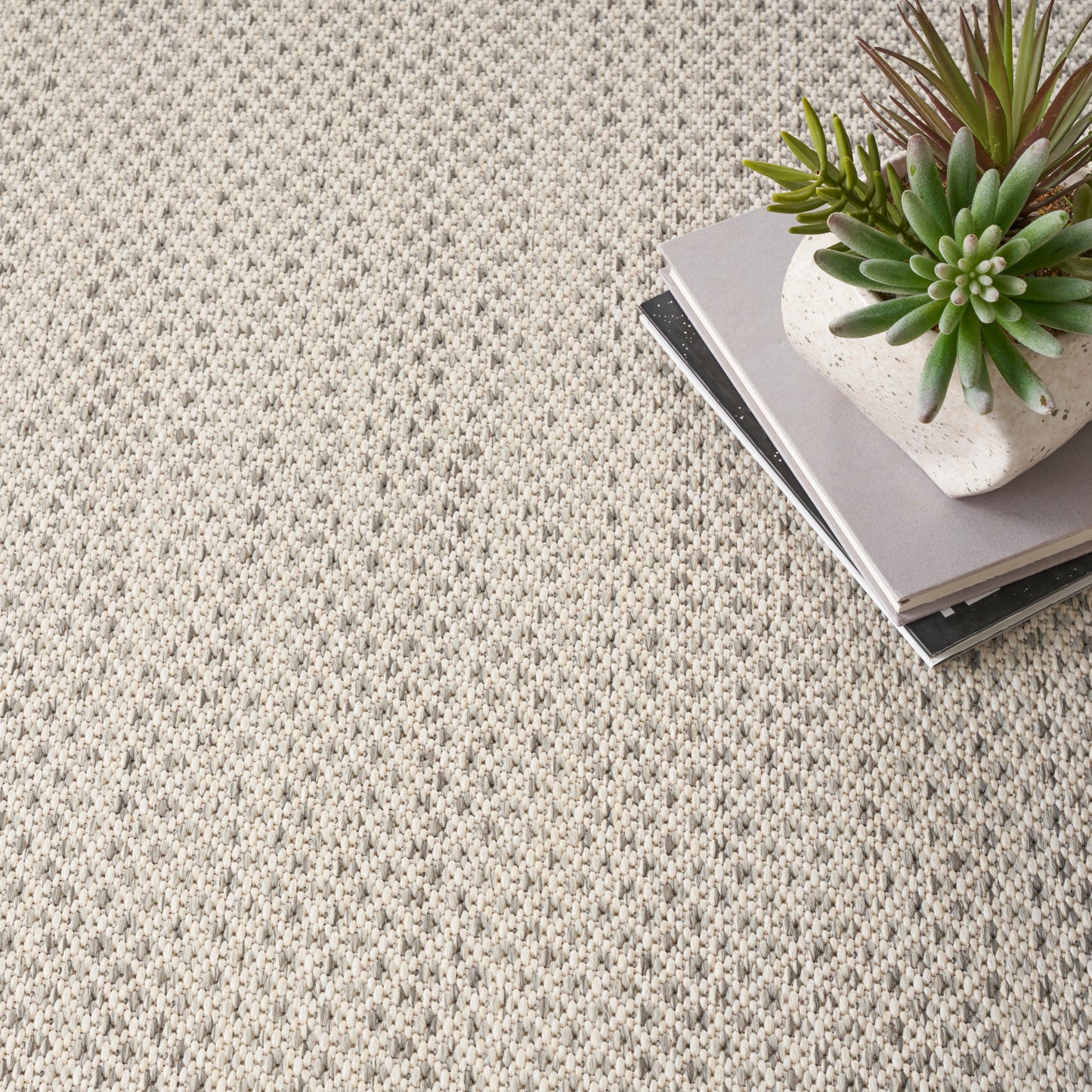 Beige woven carpet with a small stack of books and a green succulent in a white pot.