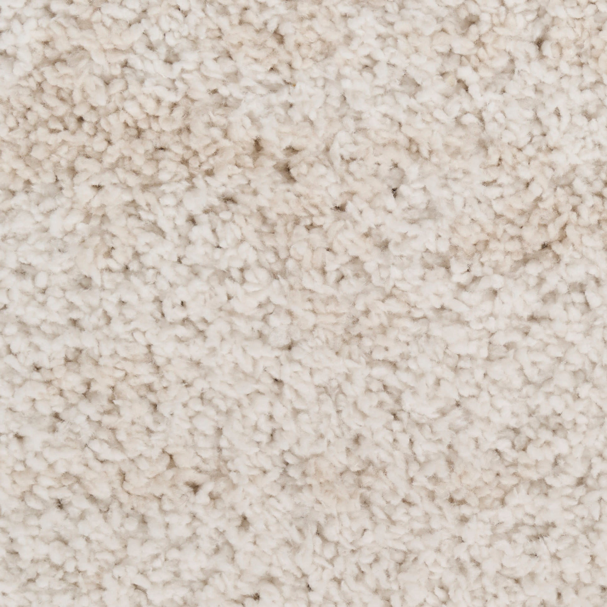 Cream beige plush carpet close-up with soft, high-pile shag texture & cozy look.