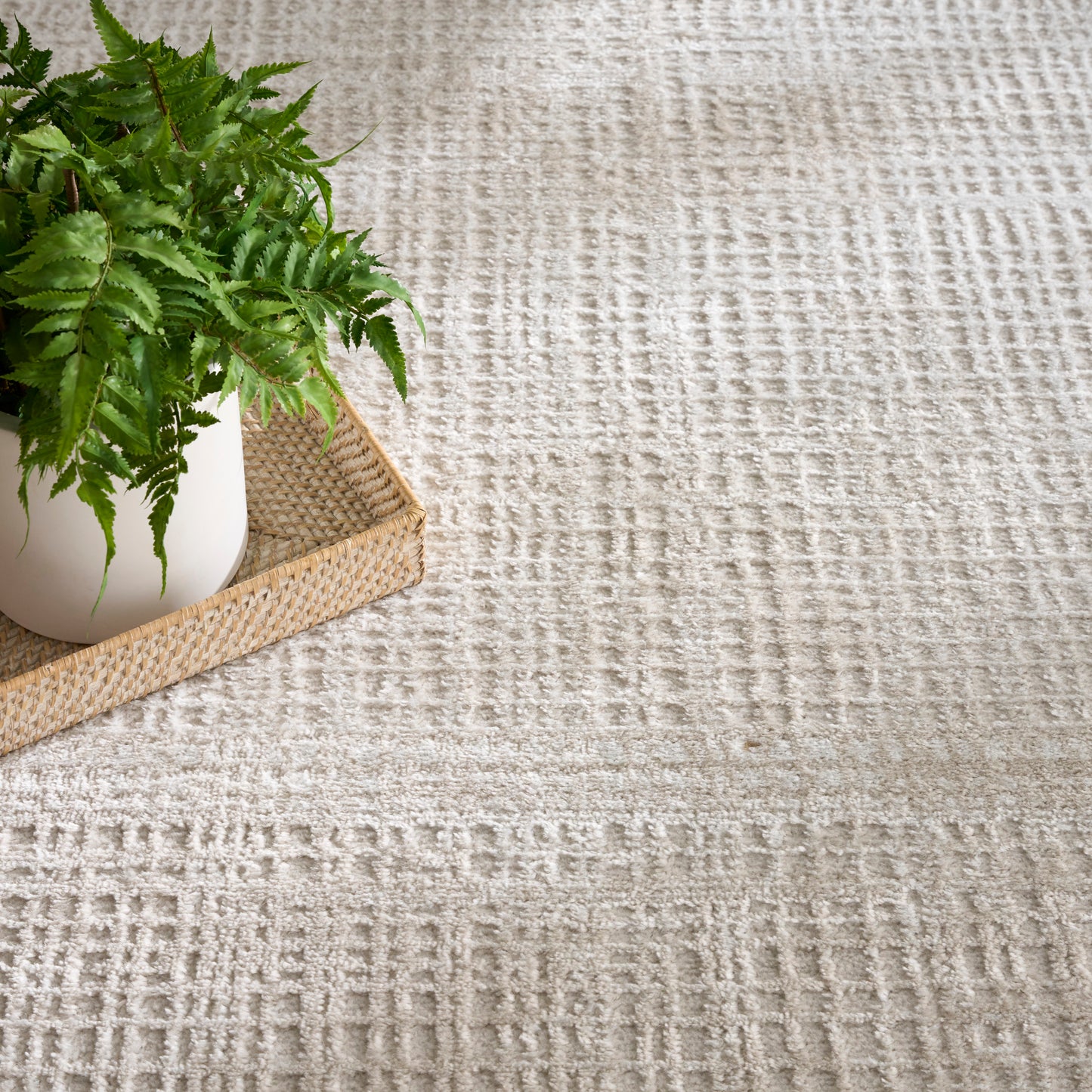 Beige textured rug with a subtle geometric pattern; in the foreground, a green fern in a white pot sits on a woven tray.