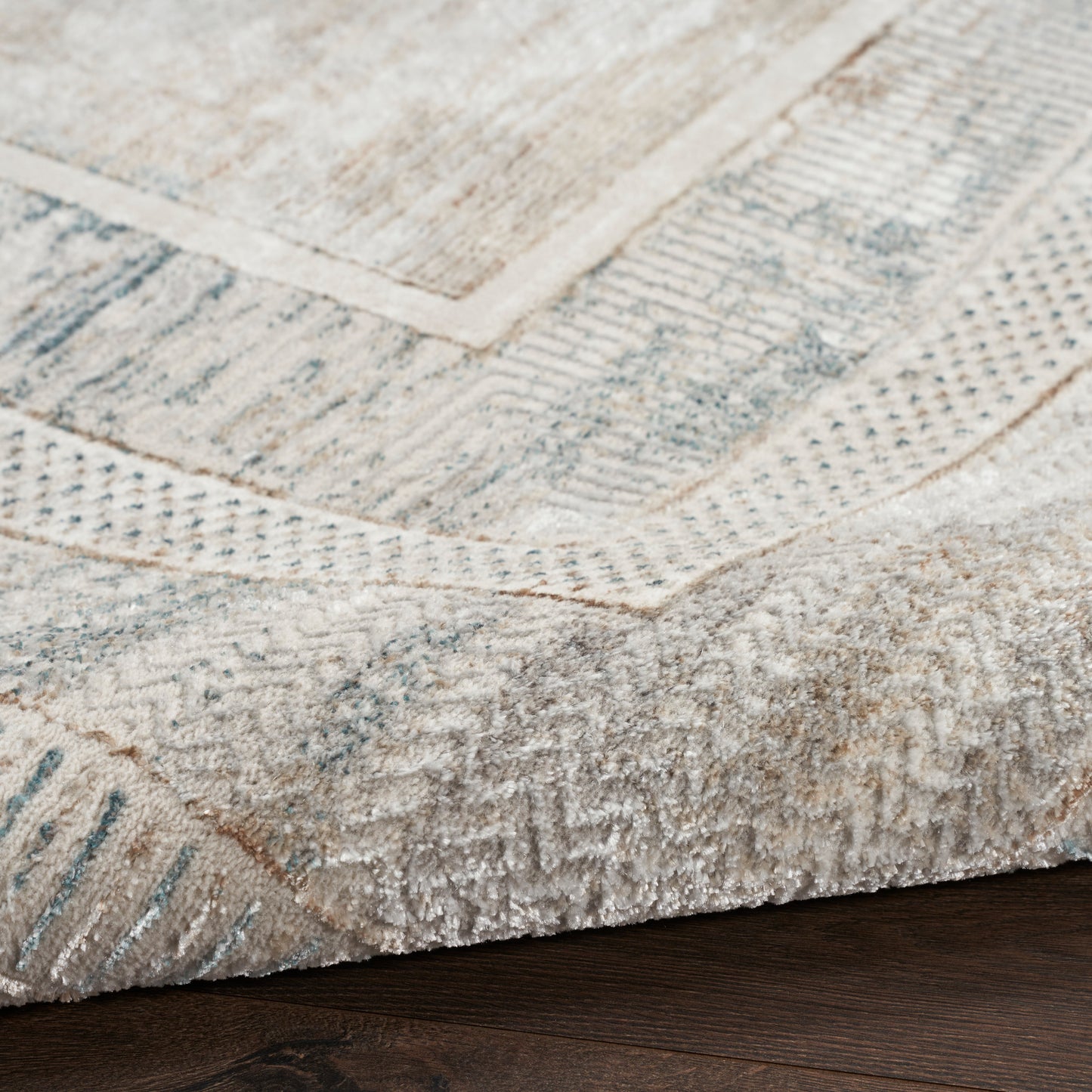 Close-up of a beige and blue area rug with a geometric border, low-pile texture on dark wood flooring.