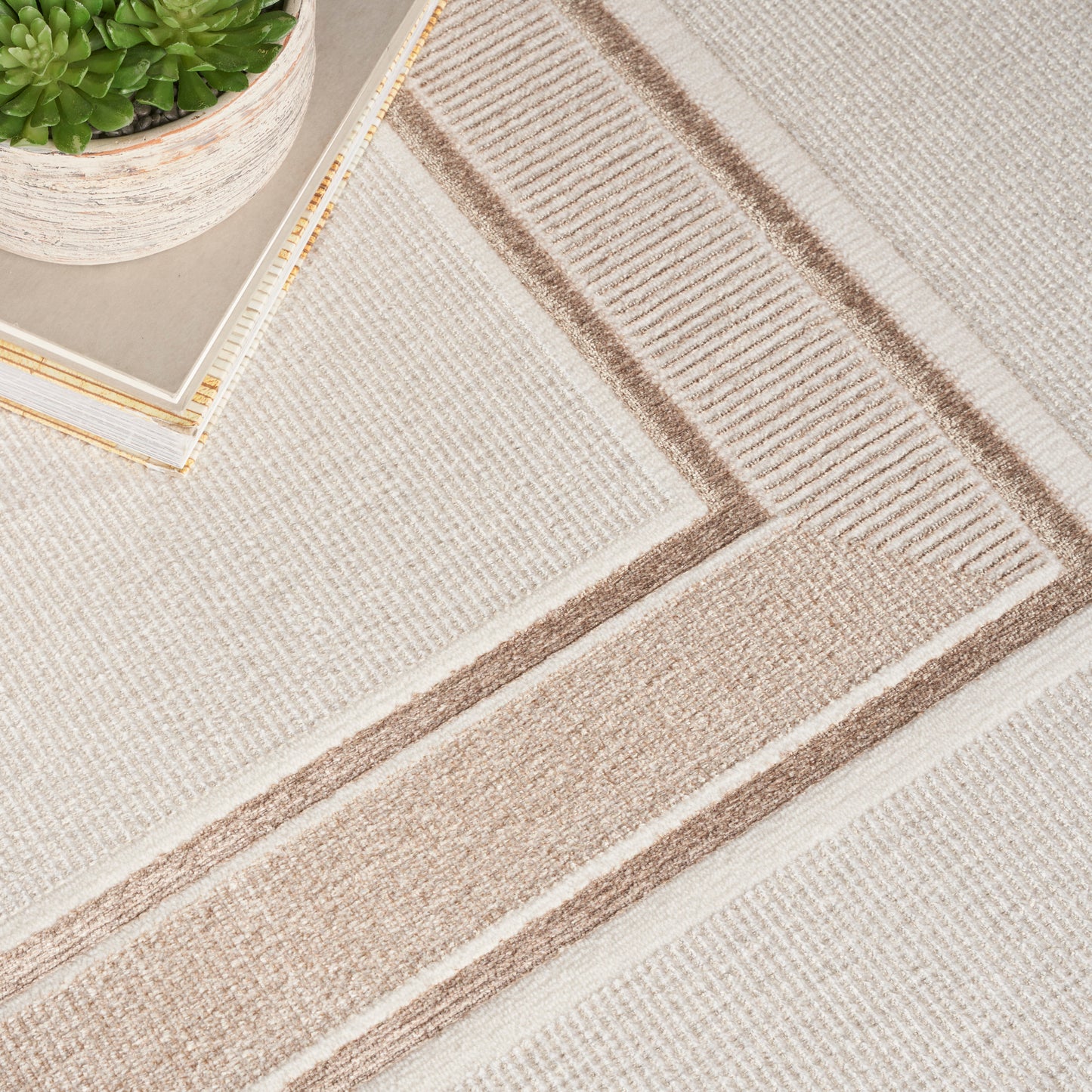 Beige textured area rug with taupe rectangular border; small green succulent in white pot on a mirrored tray.