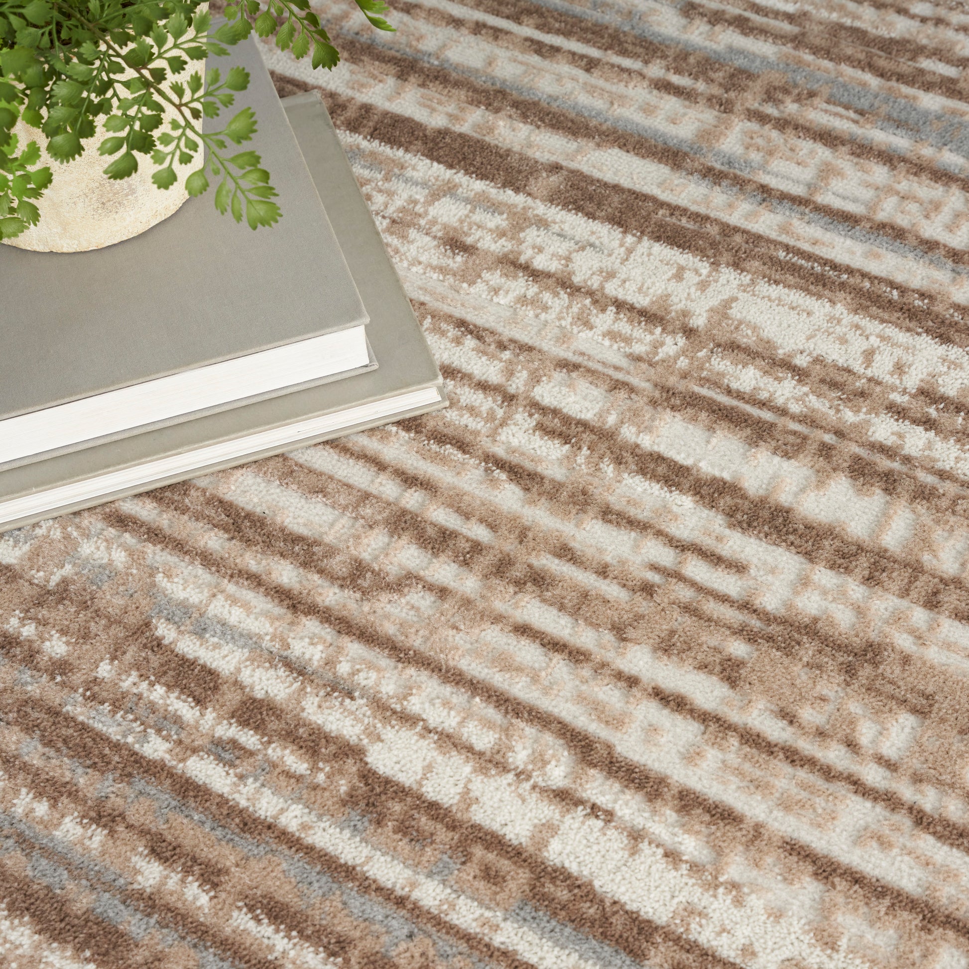 Beige and brown abstract patterned rug with a small potted fern atop two gray hardcover books.