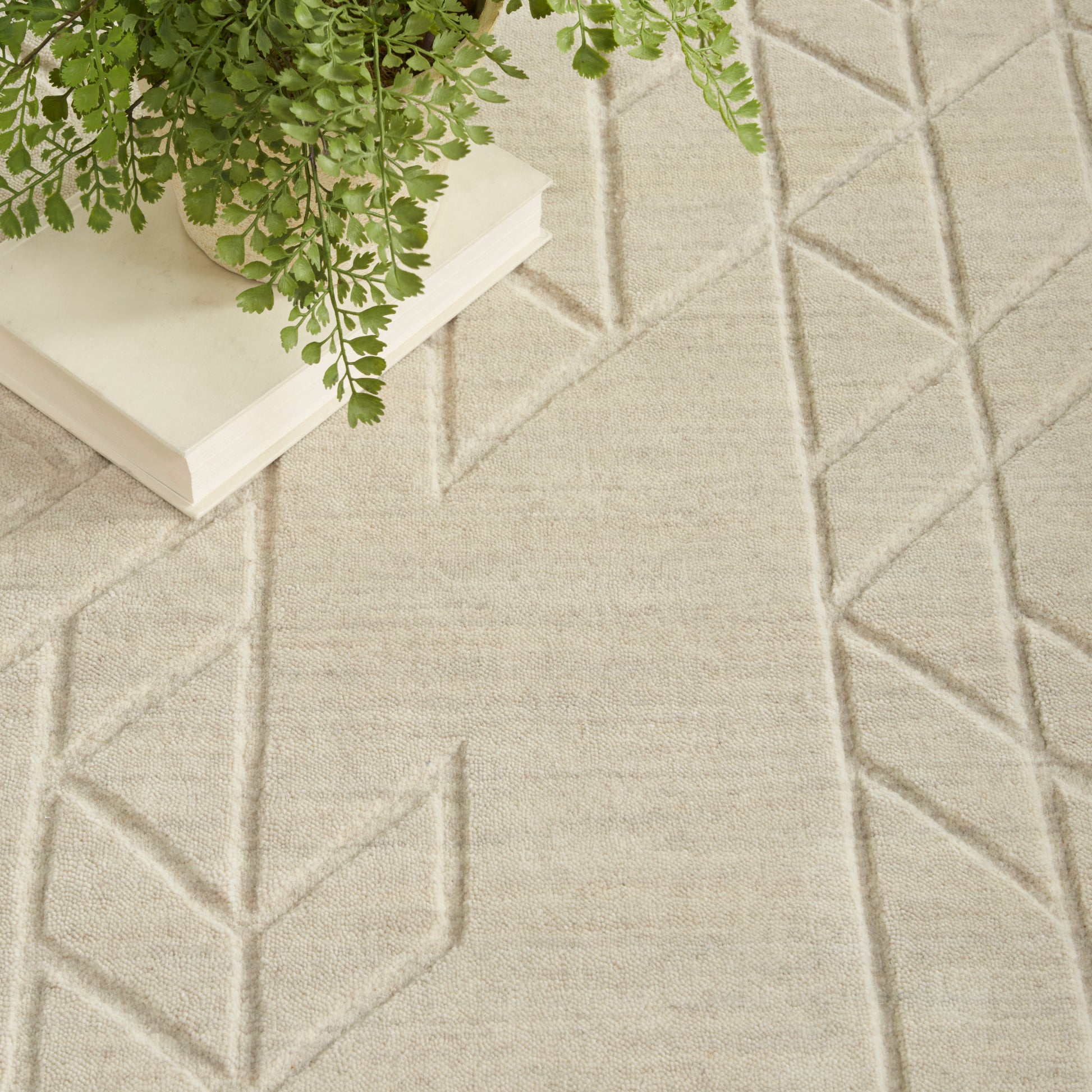 Beige woven area rug with raised geometric diamond lines; green fern in a white pot sits atop white books.