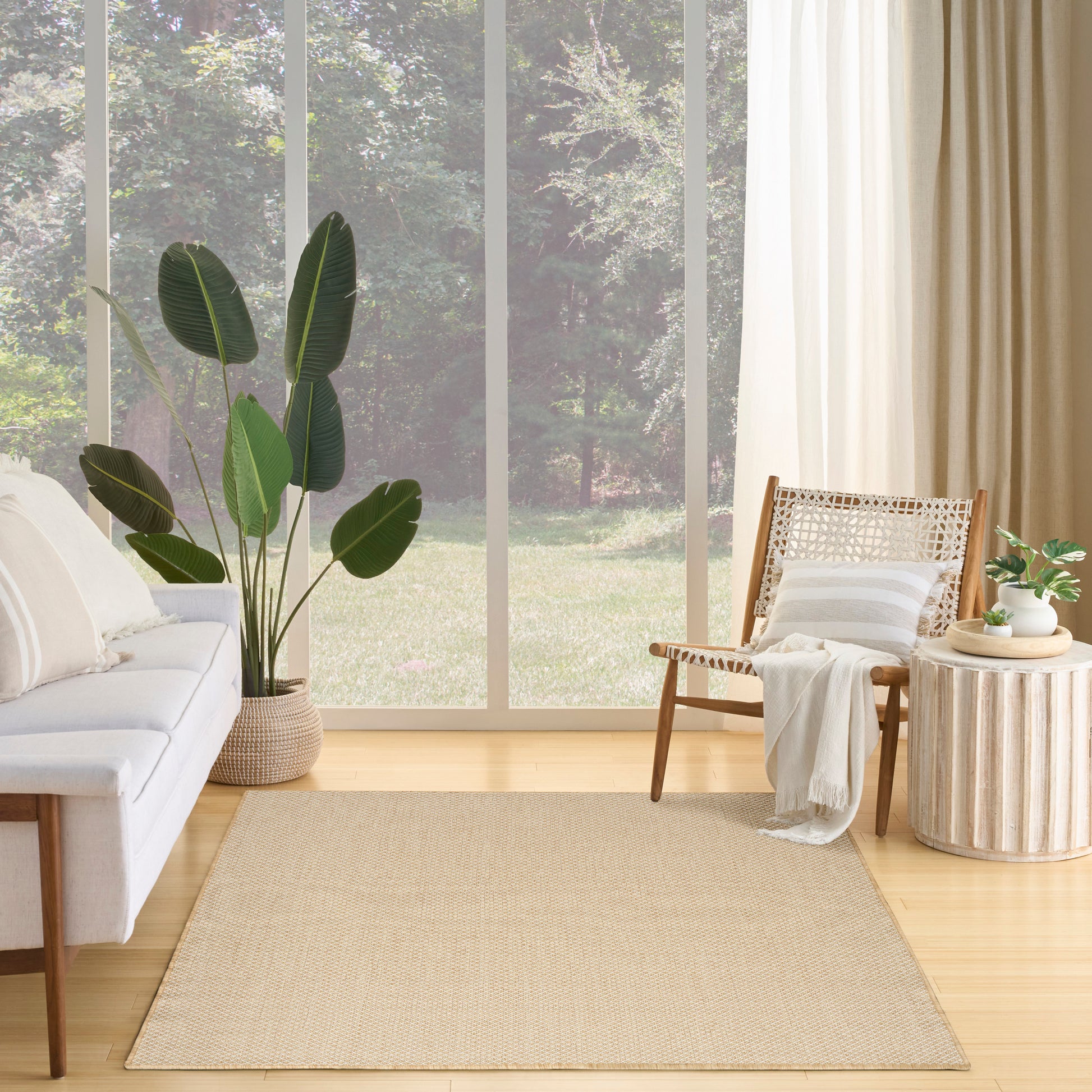 Bright living room with large windows, beige rug, white sofa, tall leafy plant, rattan chair and round ribbed side table.