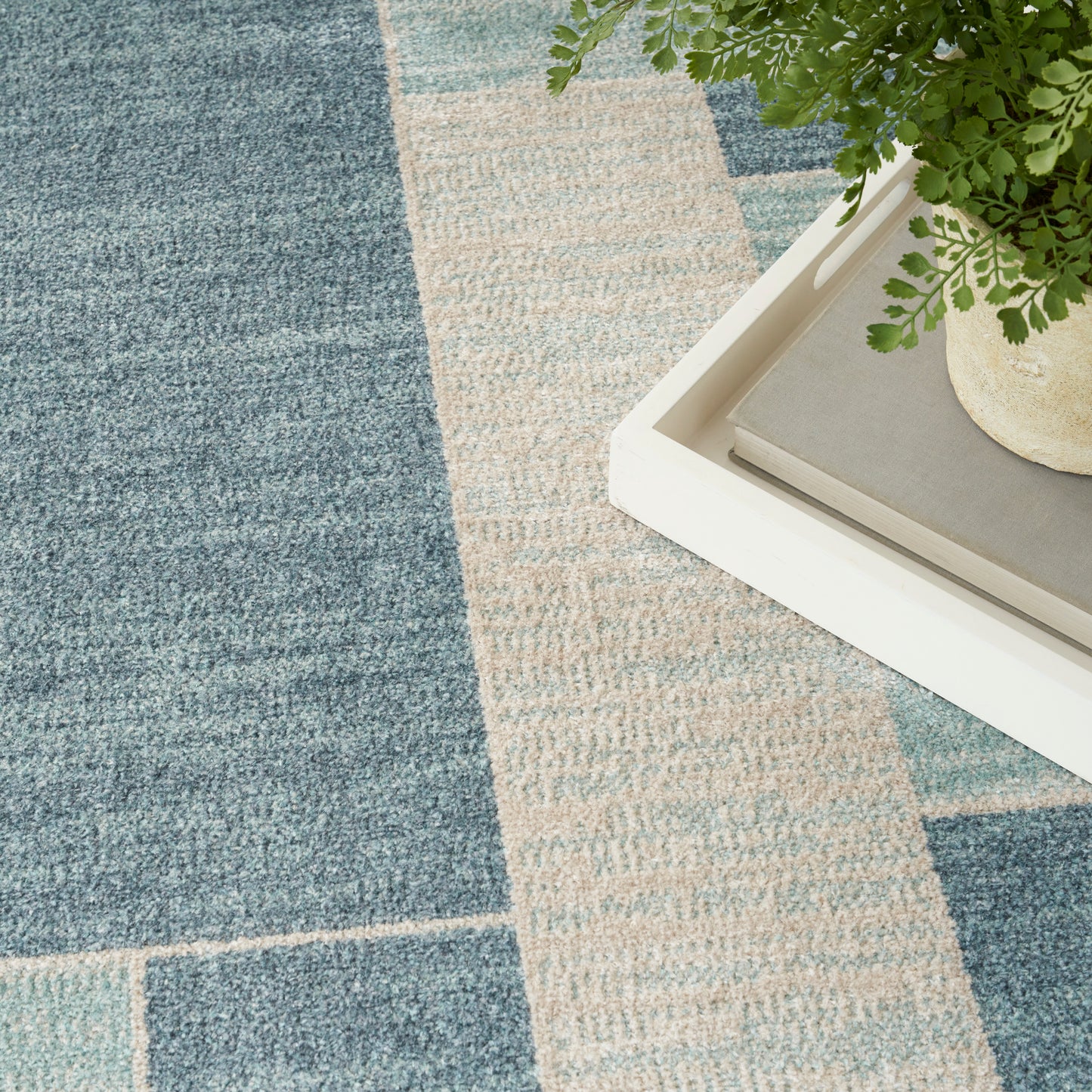 Blue and beige checkered rug with a white tray holding a potted fern and a book.