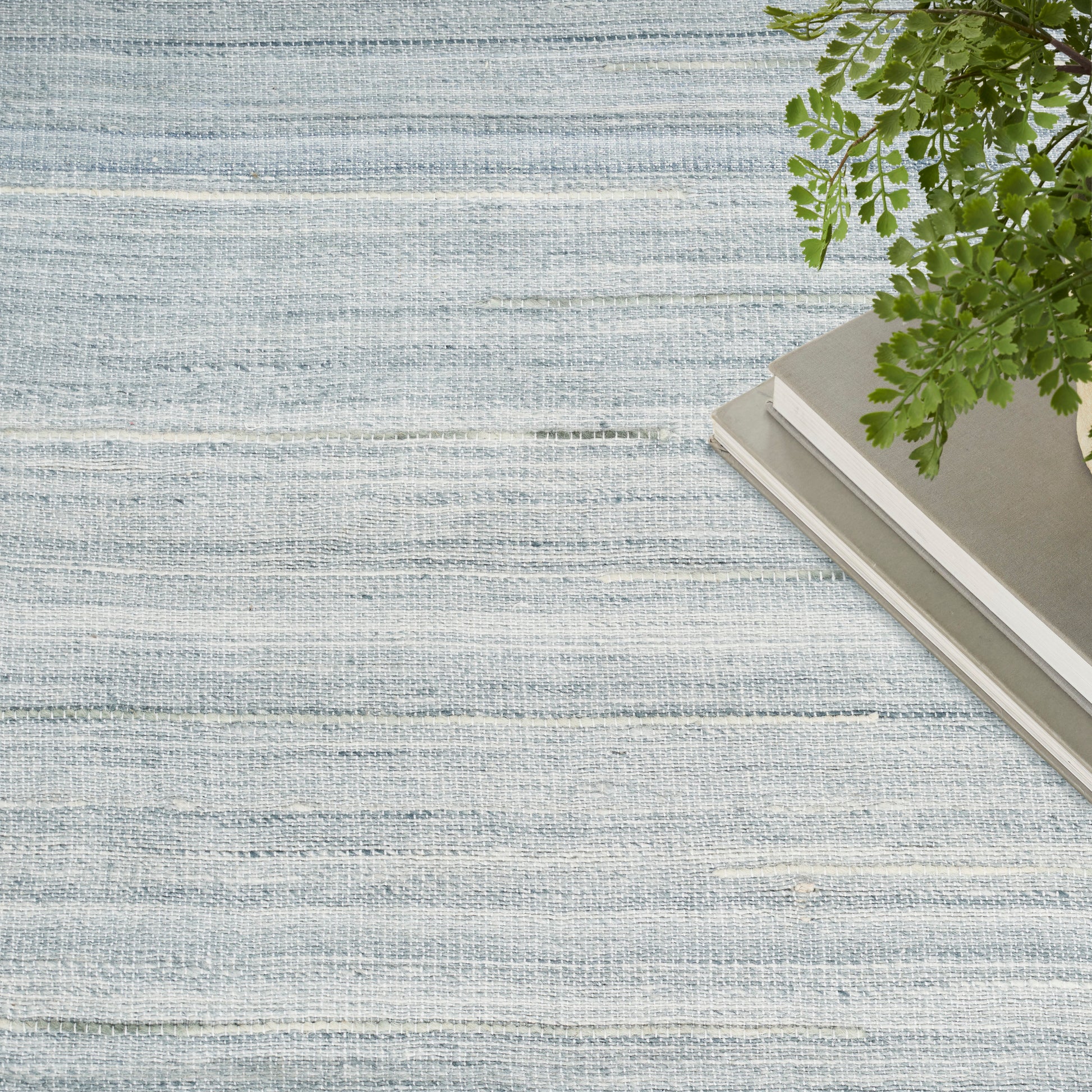 Light blue textured surface with a small stack of beige-gray books and a green fern in the top-right corner.