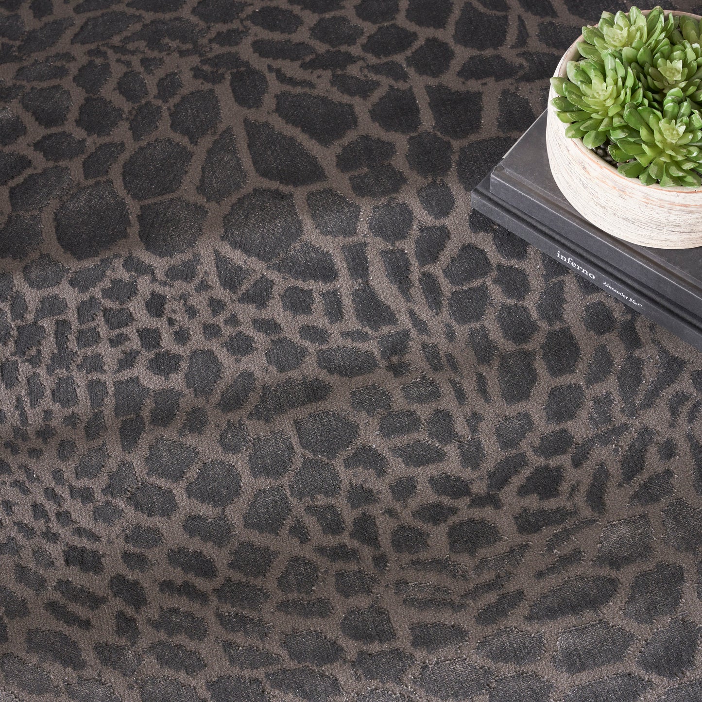 Charcoal leopard-print rug with a small potted succulent on stacked books.
