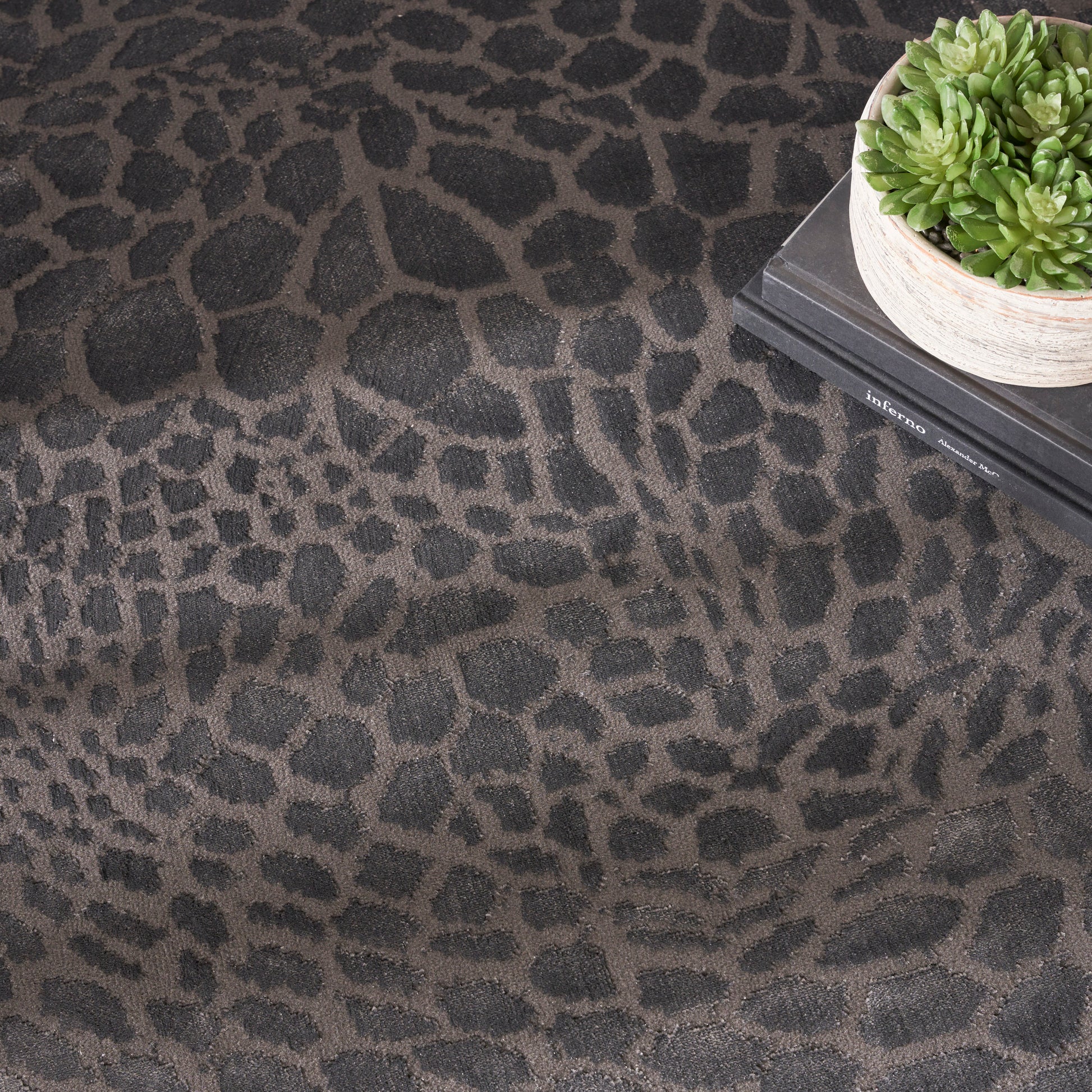 Charcoal leopard-print rug with a small potted succulent on stacked books.