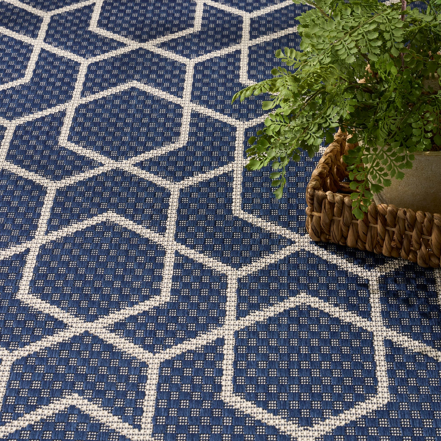 Blue hexagon-pattern rug with white lattice lines and dotted texture, beside a woven basket holding a green fern.