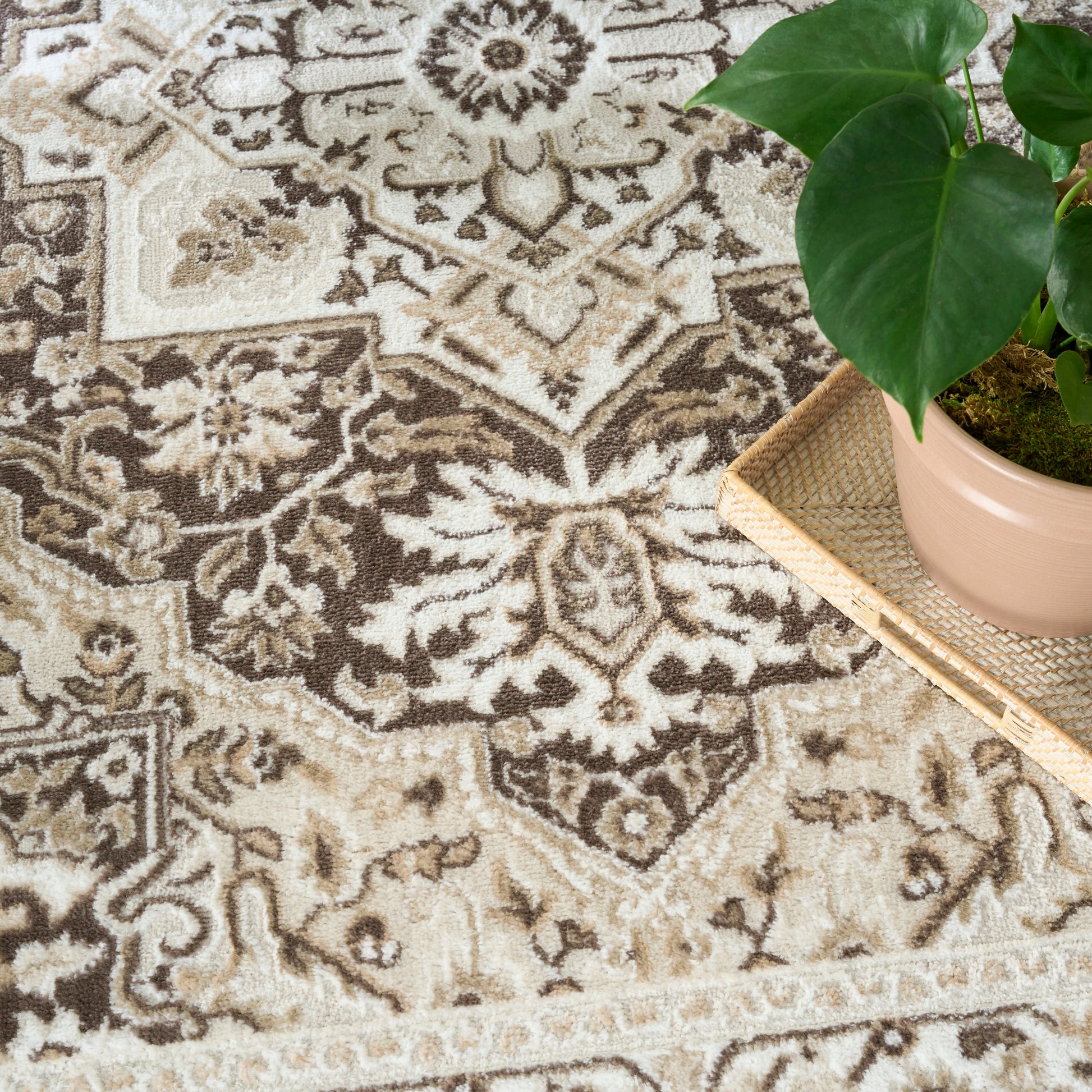 Ornate beige-brown Persian-style rug with floral medallions; green-leaf plant in pink pot on woven tray.