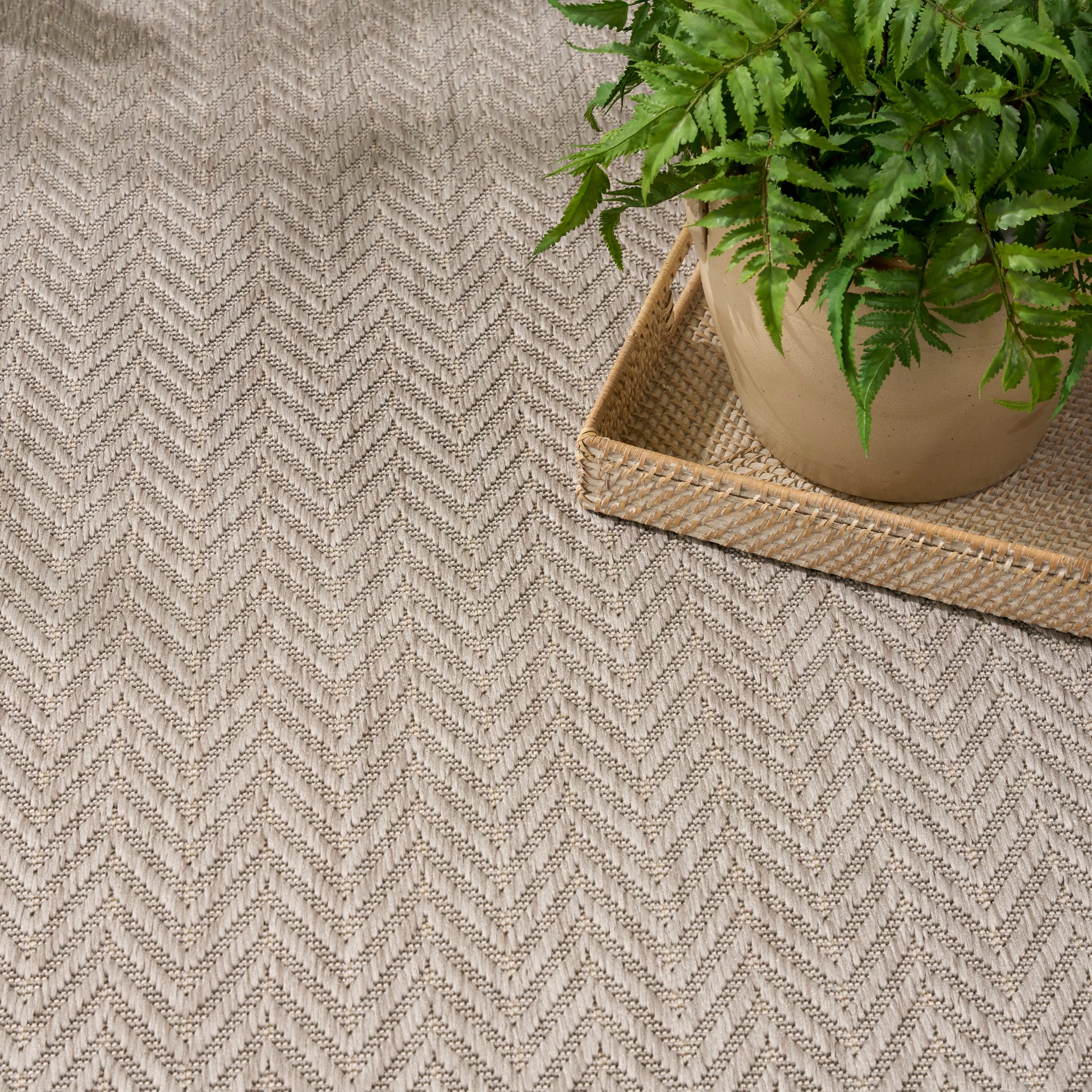 Beige chevron woven rug in taupe and cream tones, with a potted fern on a natural woven tray.