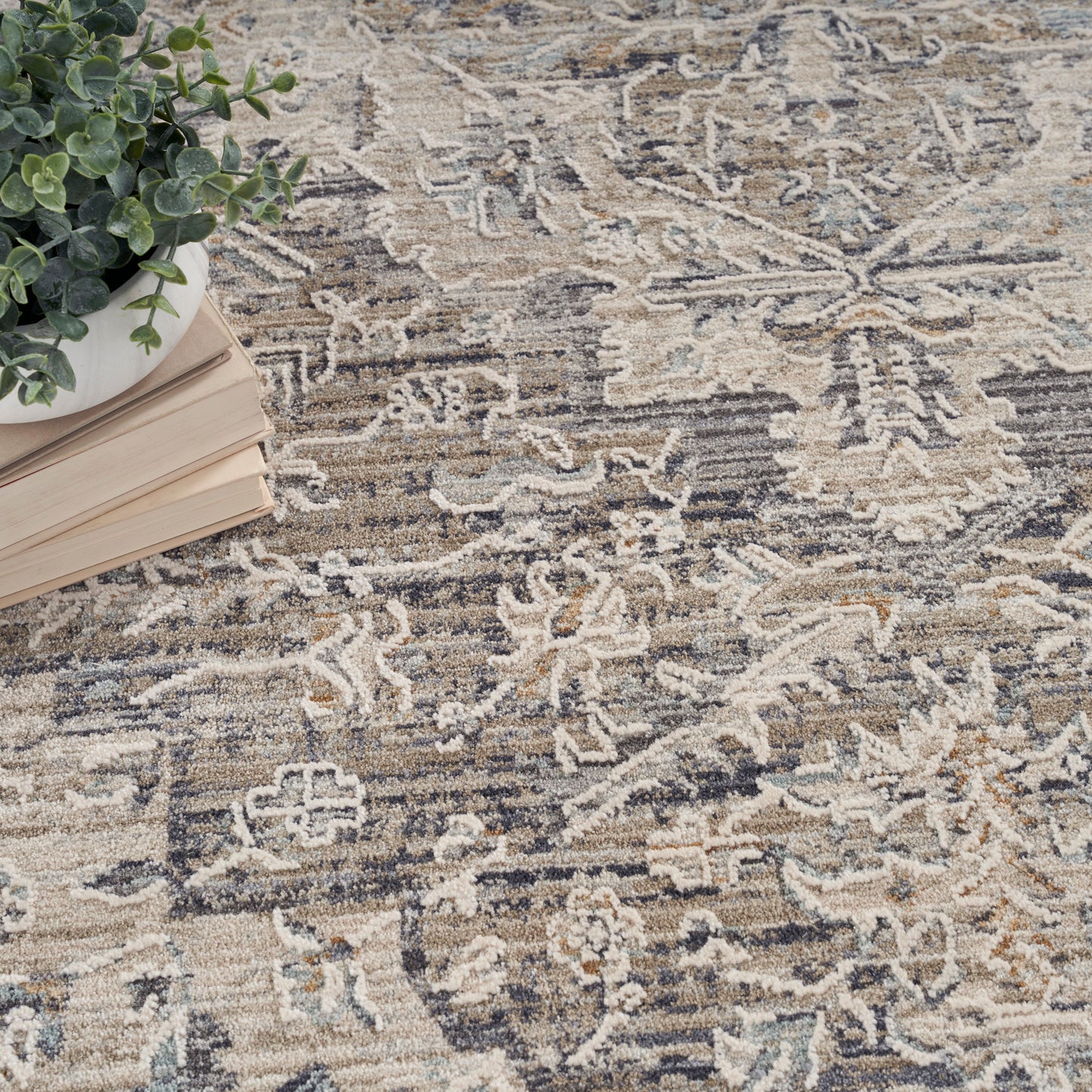 Patterned beige and gray vintage rug with blue accents, a stack of books topped by a green potted plant.