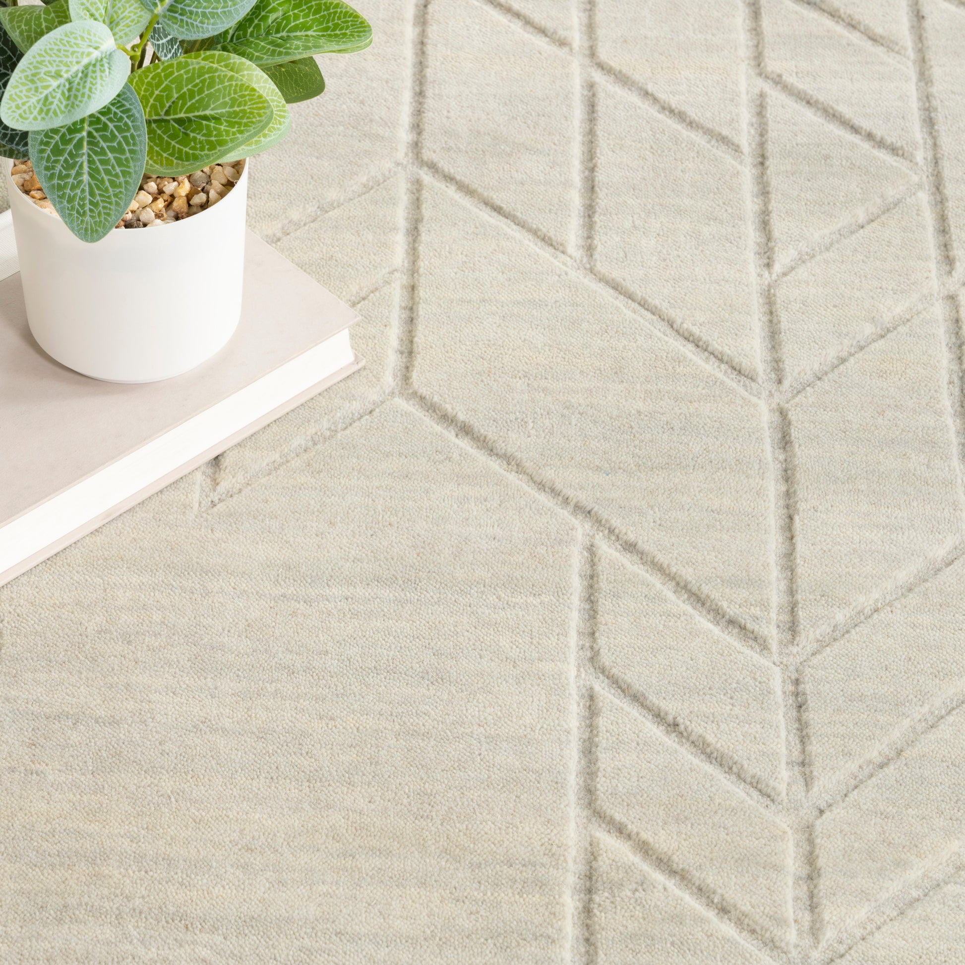 Cream geometric rug with stitched chevron pattern; white pot with green leafy plant on a pale book.