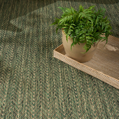Green chevron-patterned rug with a light brown wicker tray and a beige pot housing a lush fern.