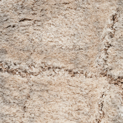 Nourison Rugs Nourison Home   Shag 7' X 9'    - 099446008503