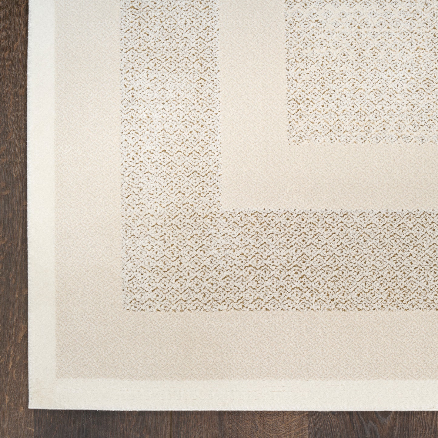 Beige textured area rug with layered cream borders and woven geometric pattern on dark wood floor.