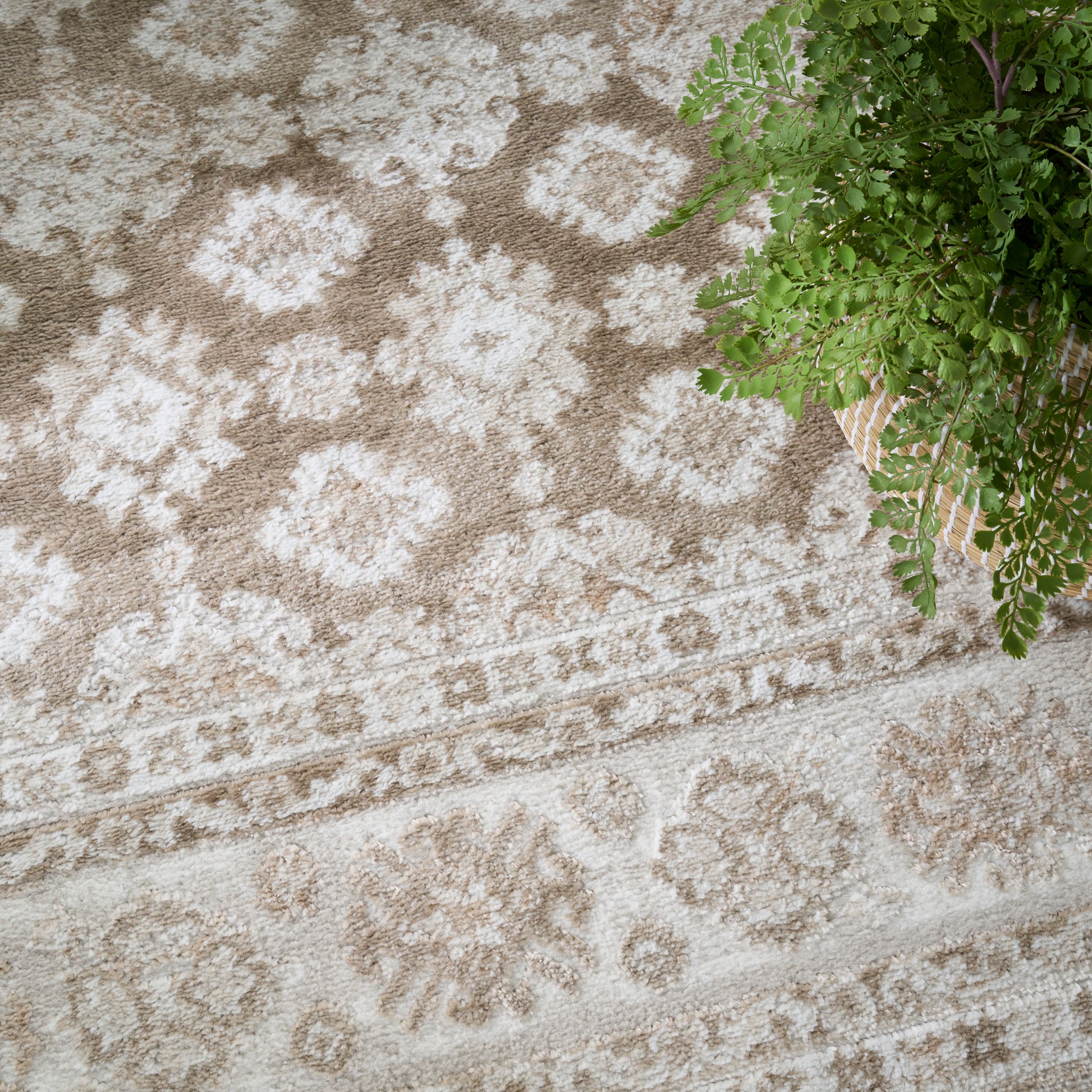 Beige oriental-style rug with cream floral motifs and border; green fern in a wicker basket sits at top right.