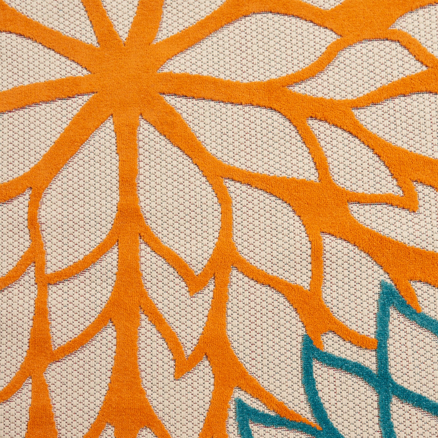 Nourison Rugs Nourison Home   Tropical 3' X 4'    - 099446299024