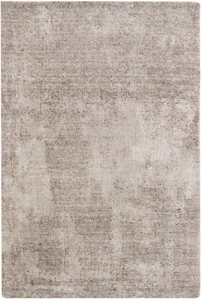 Beige distressed area rug with taupe undertones, subtle mottled texture and rectangular soft pile.