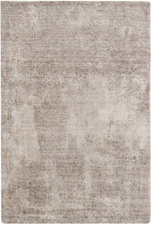 Beige distressed area rug with taupe undertones, subtle mottled texture and rectangular soft pile.