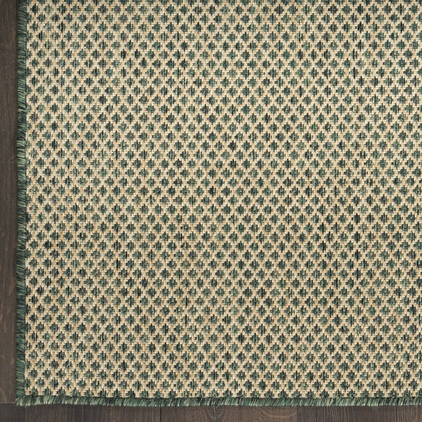 Rectangular woven rug featuring teal diamond lattice on beige field, with green fringe along left edge and bottom.