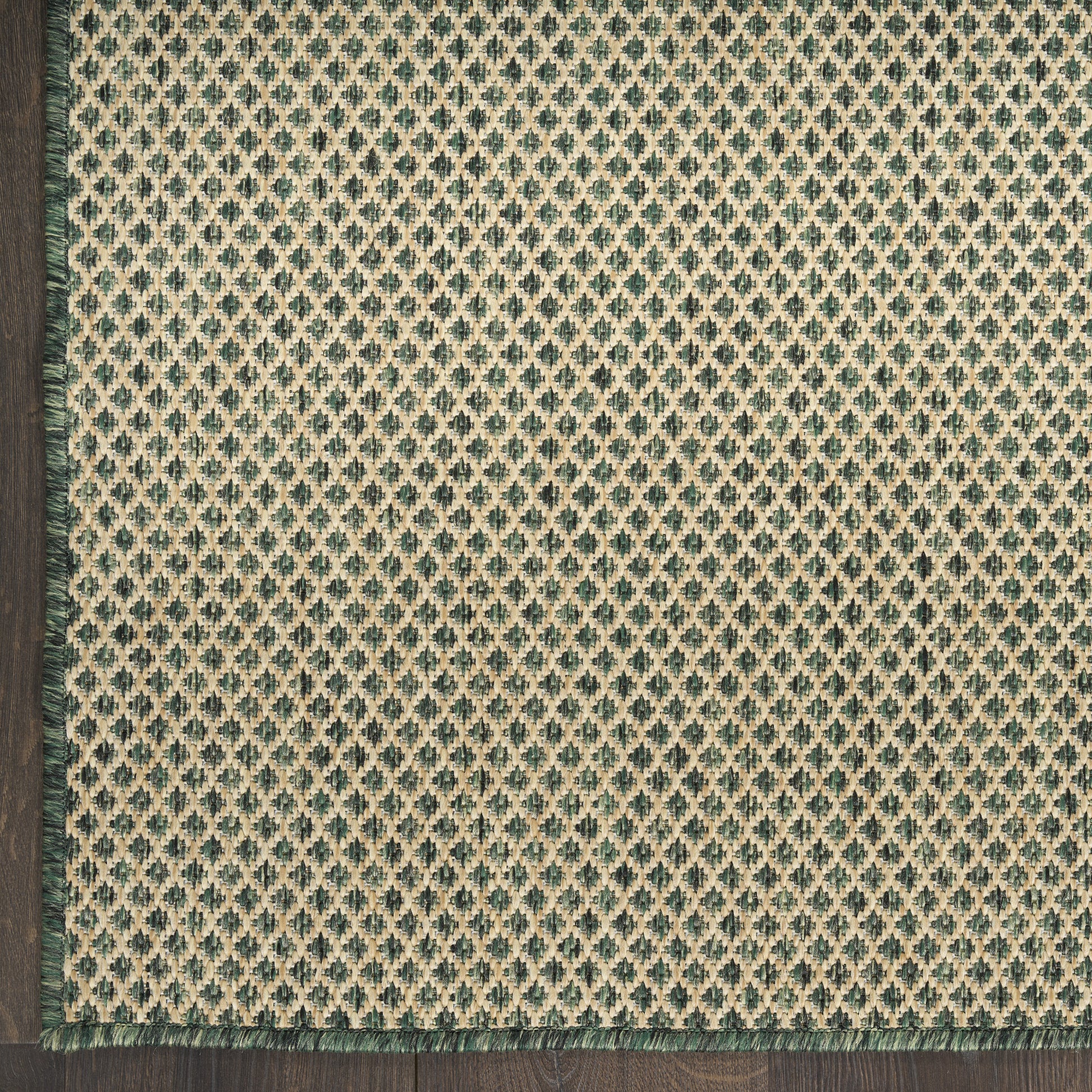 Rectangular woven rug featuring teal diamond lattice on beige field, with green fringe along left edge and bottom.