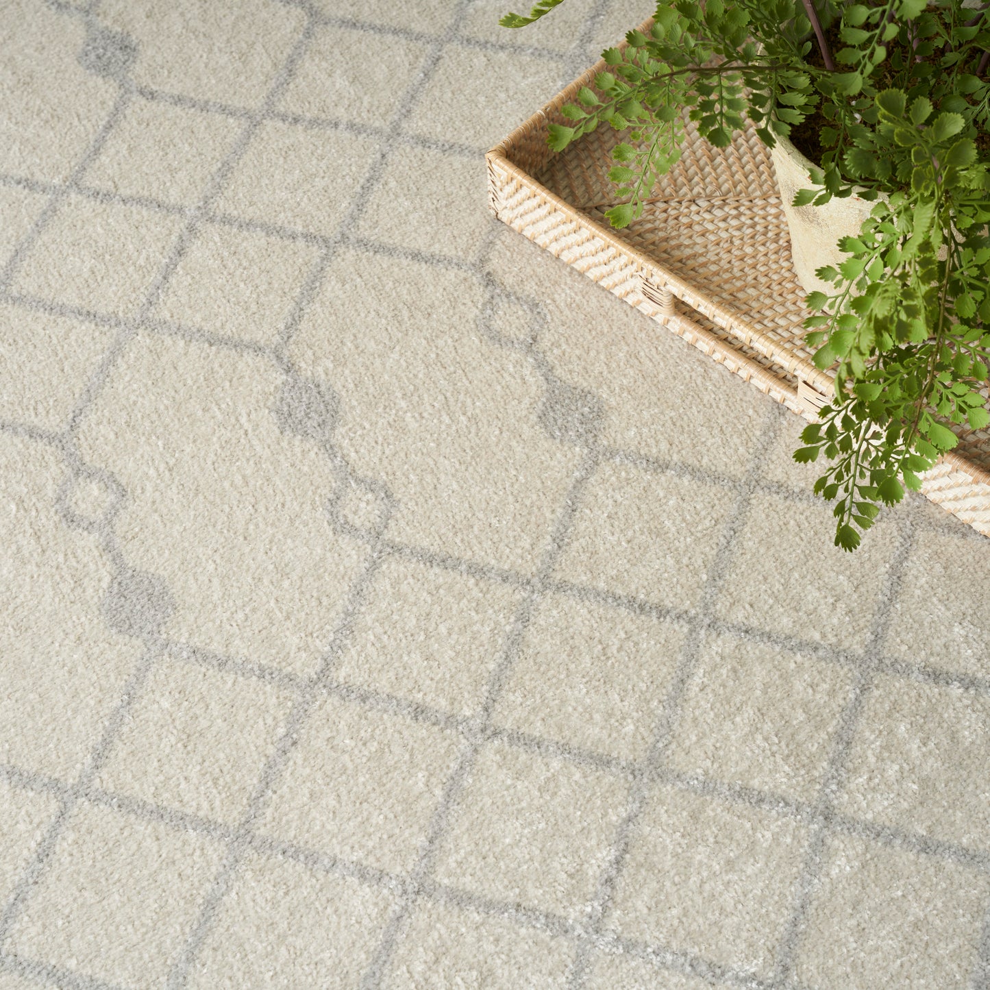 Beige textured rug with a gray grid pattern, and a wicker basket with a trailing green fern.