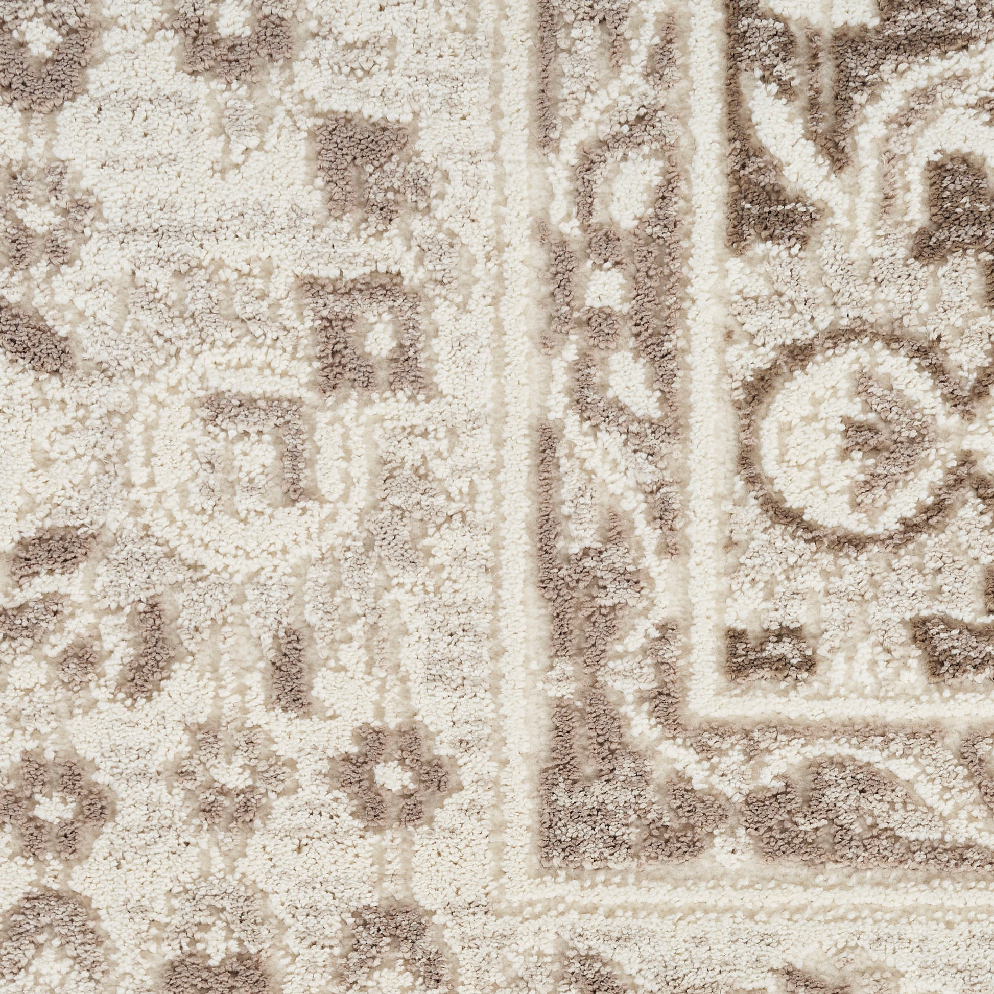 Beige and taupe traditional rug with intricate border and floral motifs; plush woven texture.