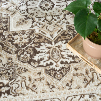 Beige and brown Persian-style rug with cream detailing; green leafy plant on a woven tray.