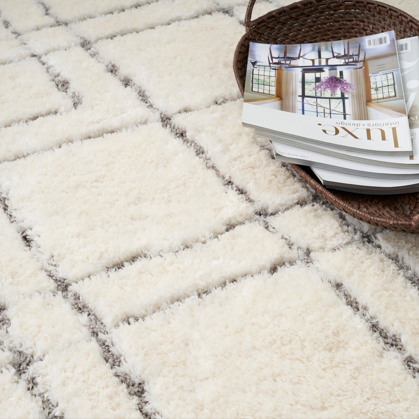 Nourison Rugs Nourison Home   Shag 4' X 6'    - 099446893437