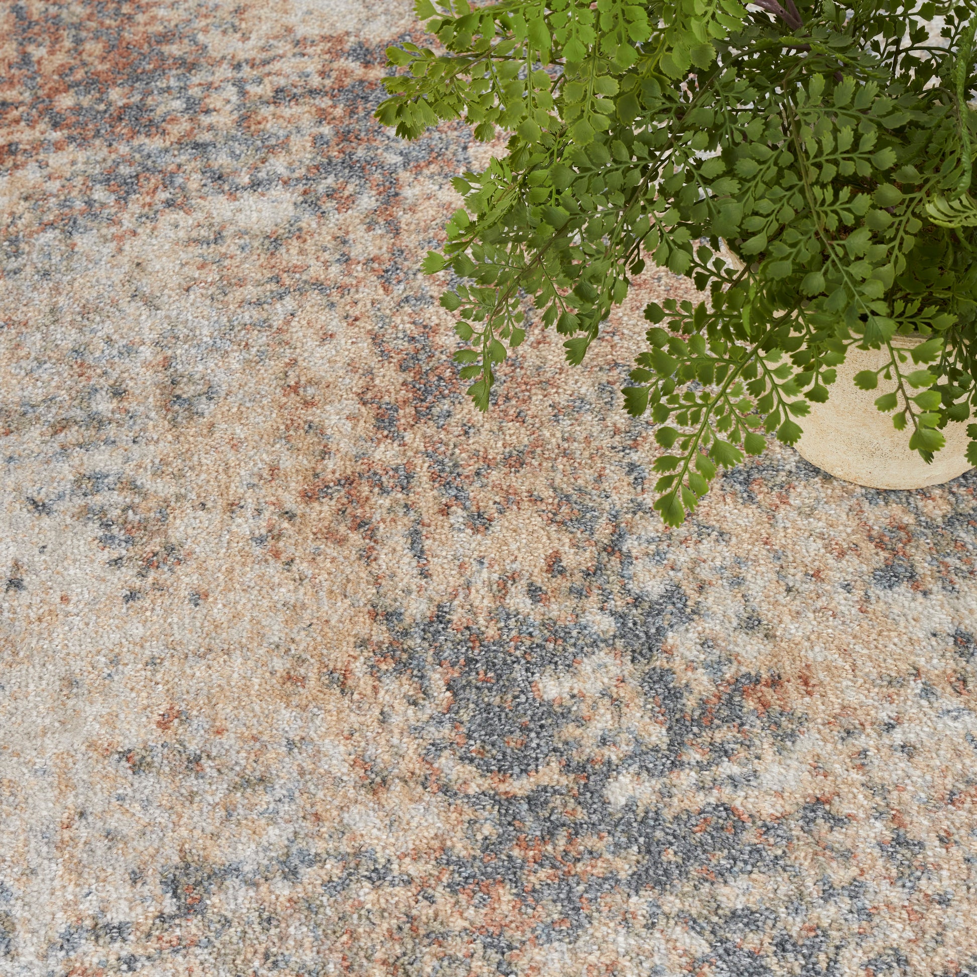 Distressed abstract area rug in beige, tan, gray-blue tones with a green fern in a beige pot at the top-right corner.