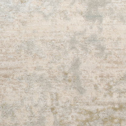 Beige and gray mottled rug with subtle speckling, 5' x 8', modern style.