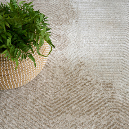 Round woven straw basket with a lush green fern on a beige textured rug.