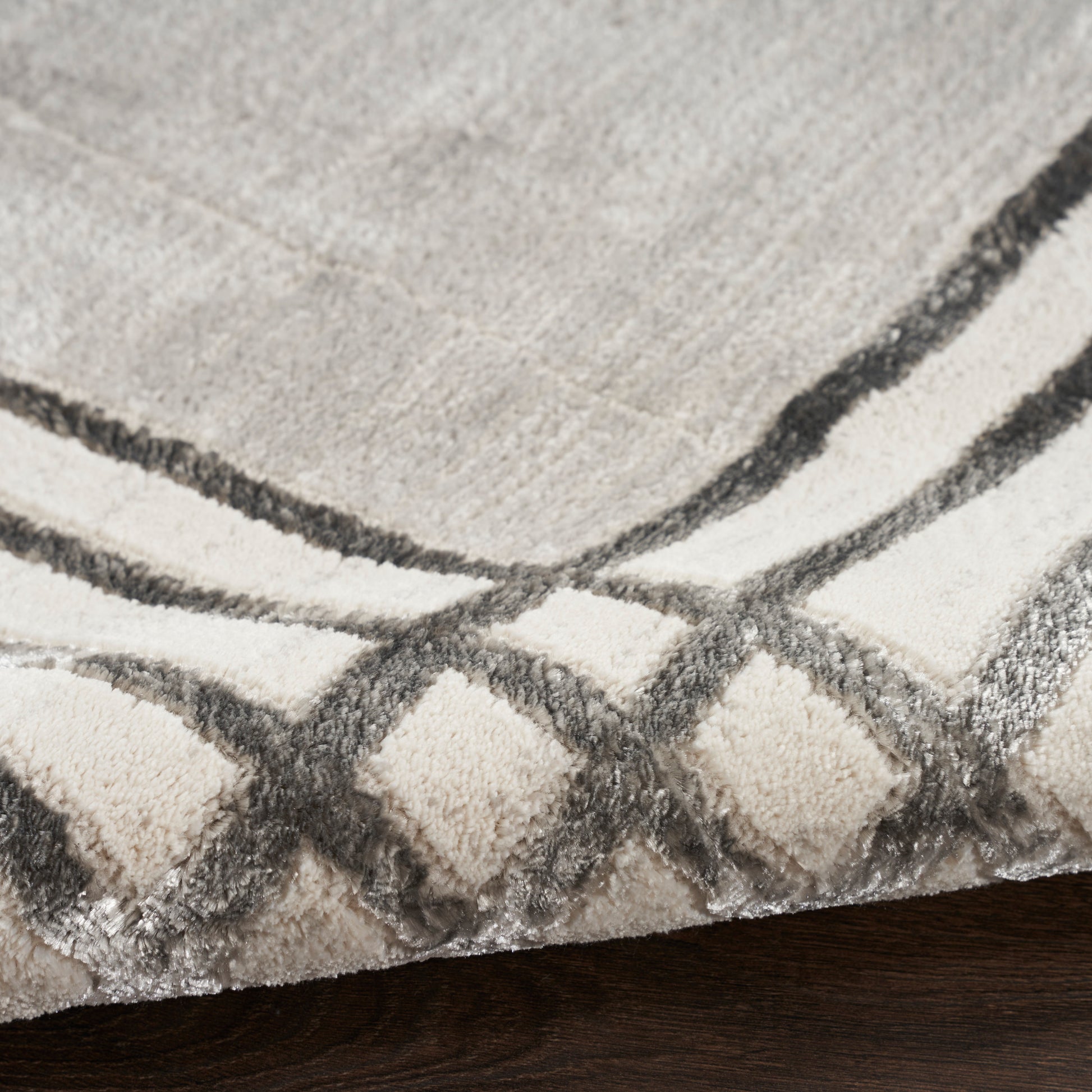 Beige & gray plush rug with dark charcoal geometric border on dark wood floor.