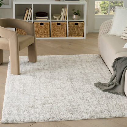Beige shag rug on light wood floor with a taupe curved-armchair and beige sofa; white cubby storage with wicker baskets.
