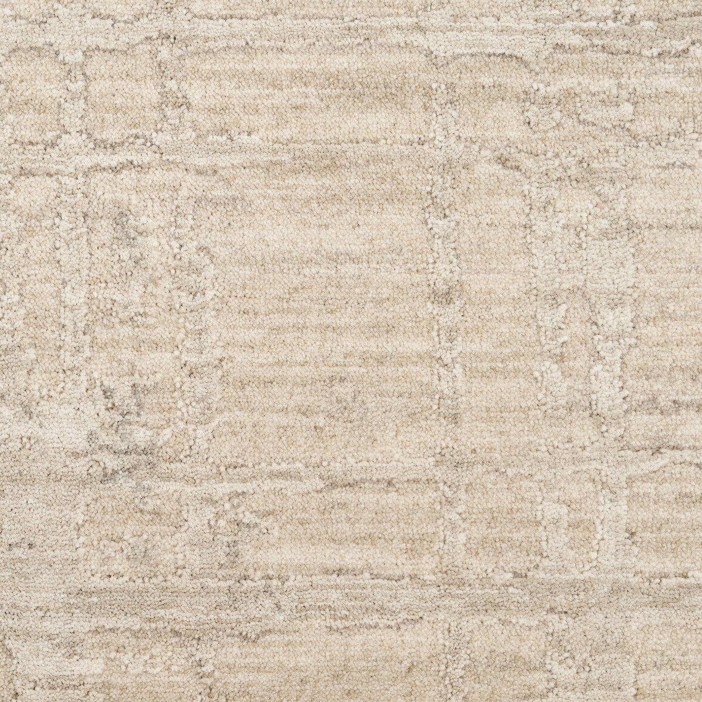 Beige textured area rug with a subtle distressed geometric border in soft neutral tones.