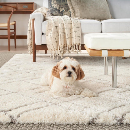 Nourison Rugs Nourison Home   Shag 7' X 9'    - 099446008473