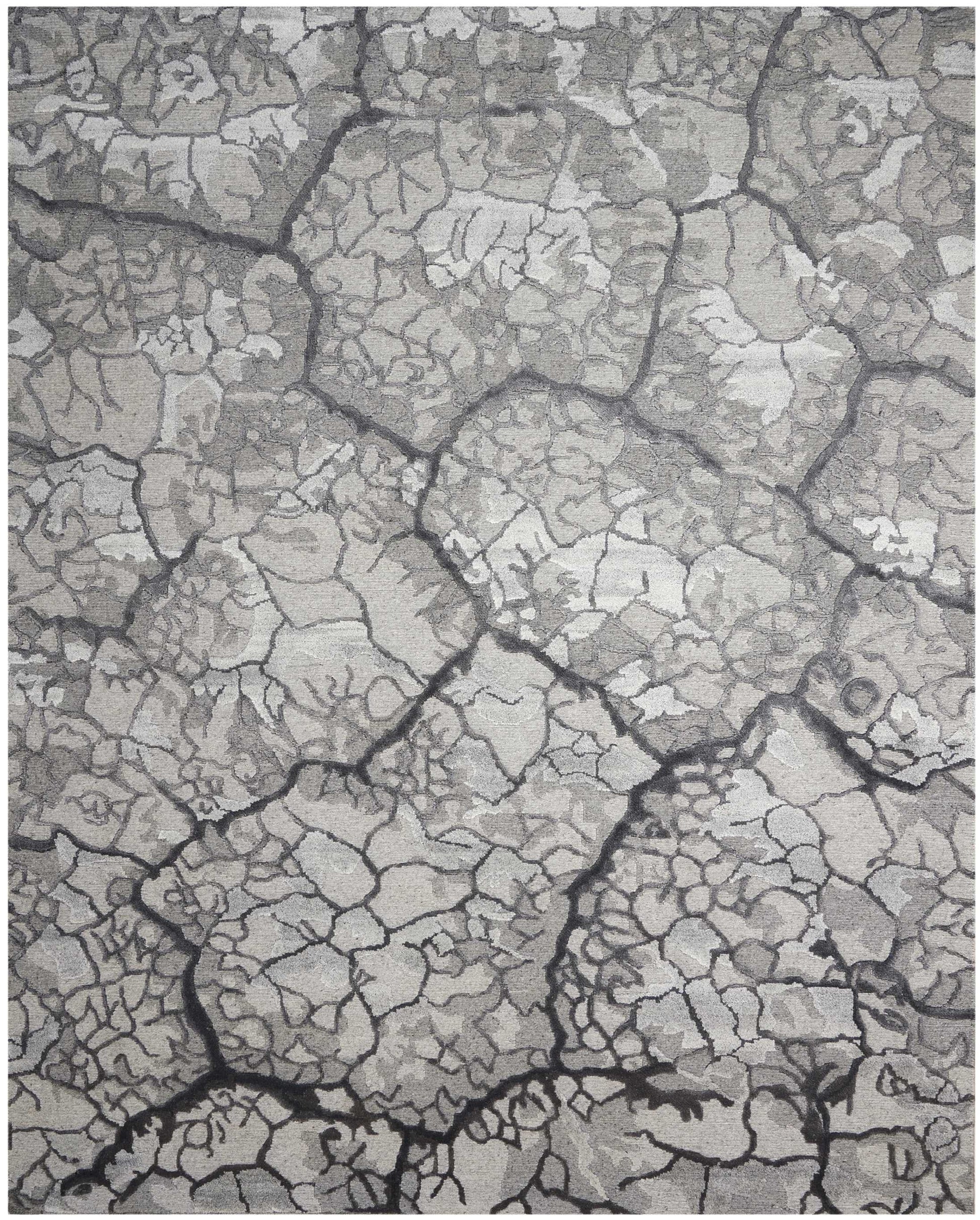 Gray, cracked dry earth showing large polygonal mud cracks across an arid, parched terrain.