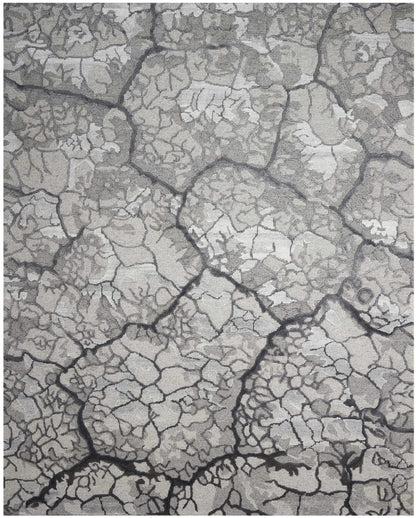 Dry gray cracked-mud texture with dark fissures forming polygonal patterns.