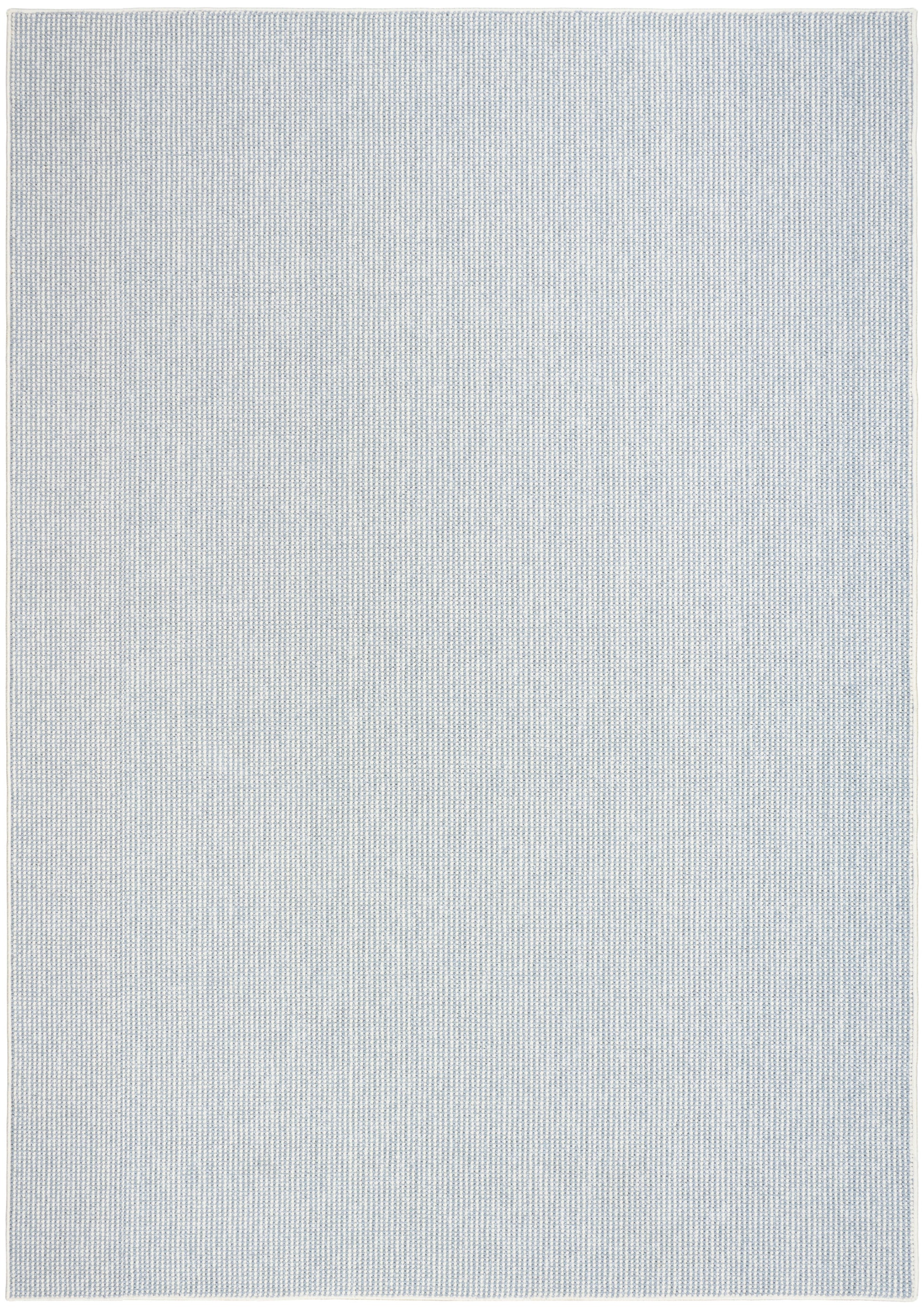 Light blue-gray woven rug with tiny grid texture and light border, rectangular.