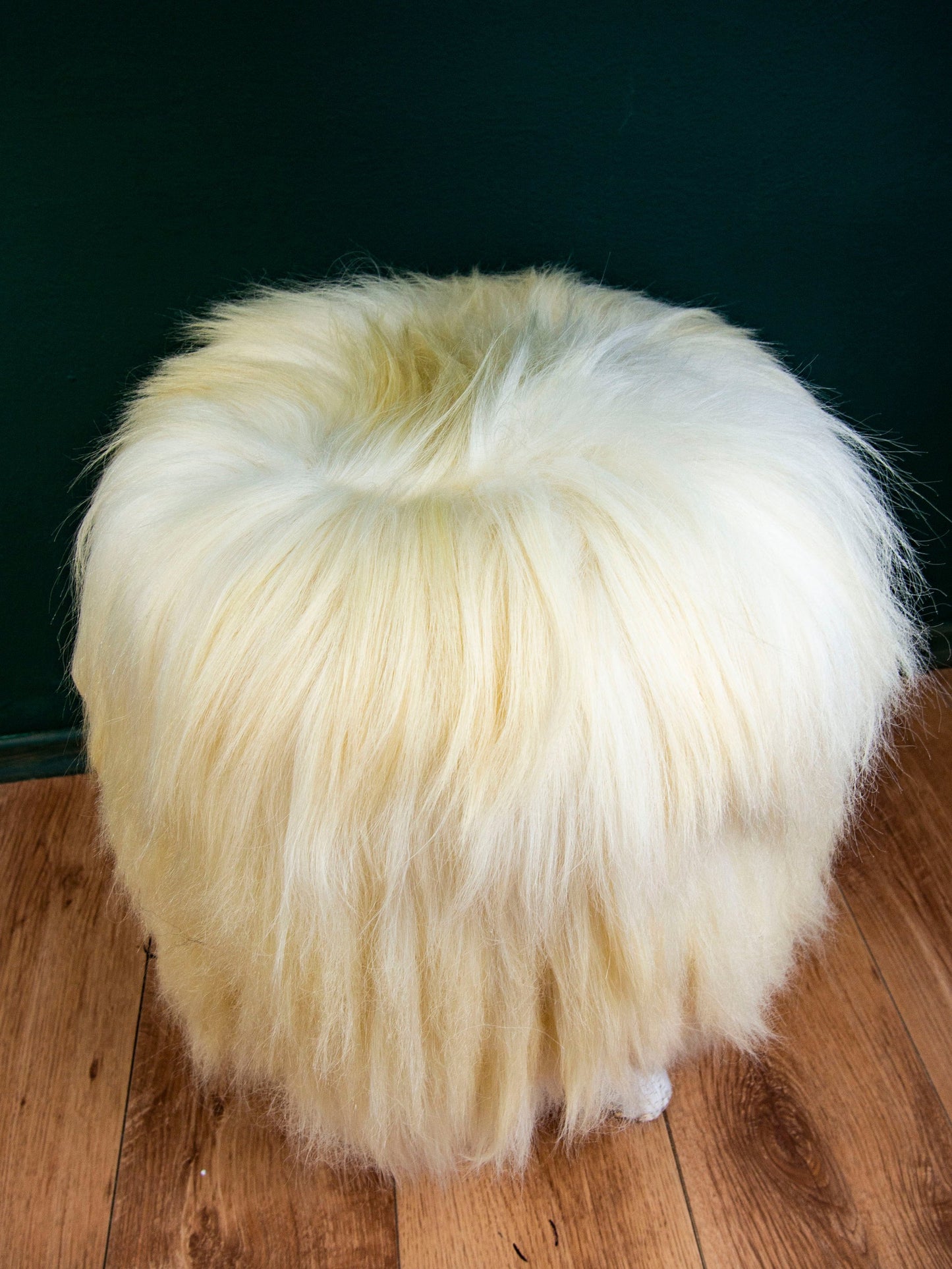 Birch Wood and Cream sheepskin ottoman