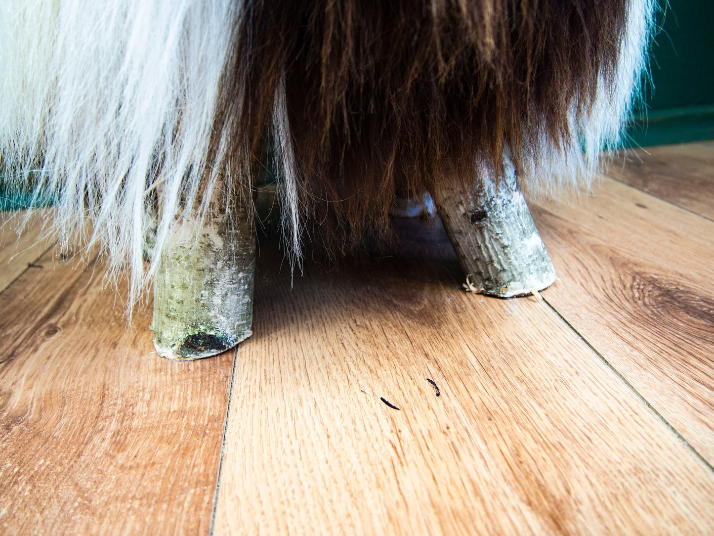 Birch Wood and real Jacob sheepskin Ottoman