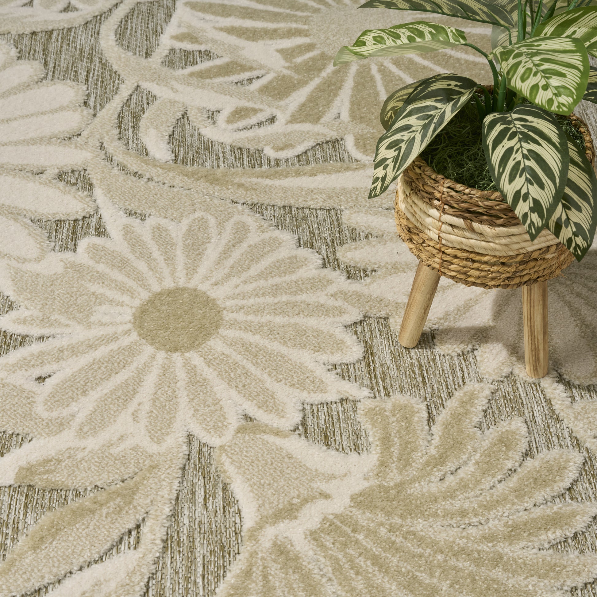 Beige rug with oversized cream daisy pattern; potted plant in a woven basket on wooden legs.