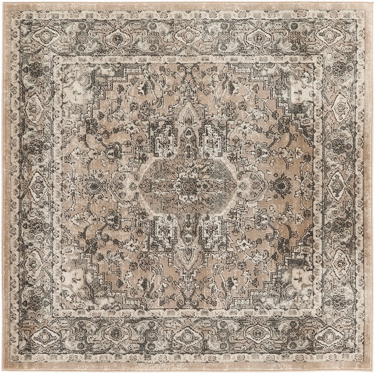 Distressed beige-gray farmhouse-style rug with central medallion and ornate borders; neutral living room decor.