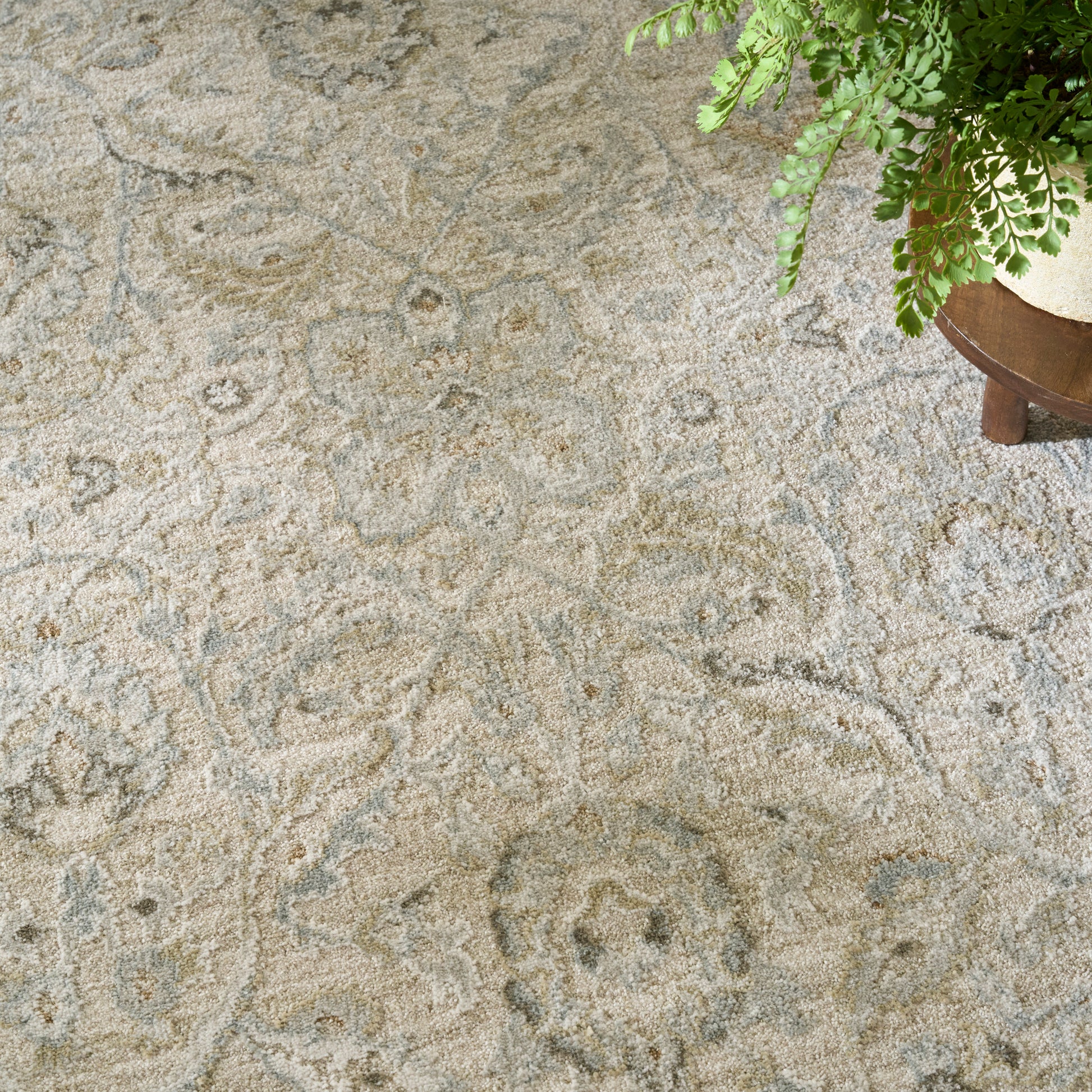 Beige-gray distressed damask rug with soft pile; ornate traditional style, placed beside a potted plant.