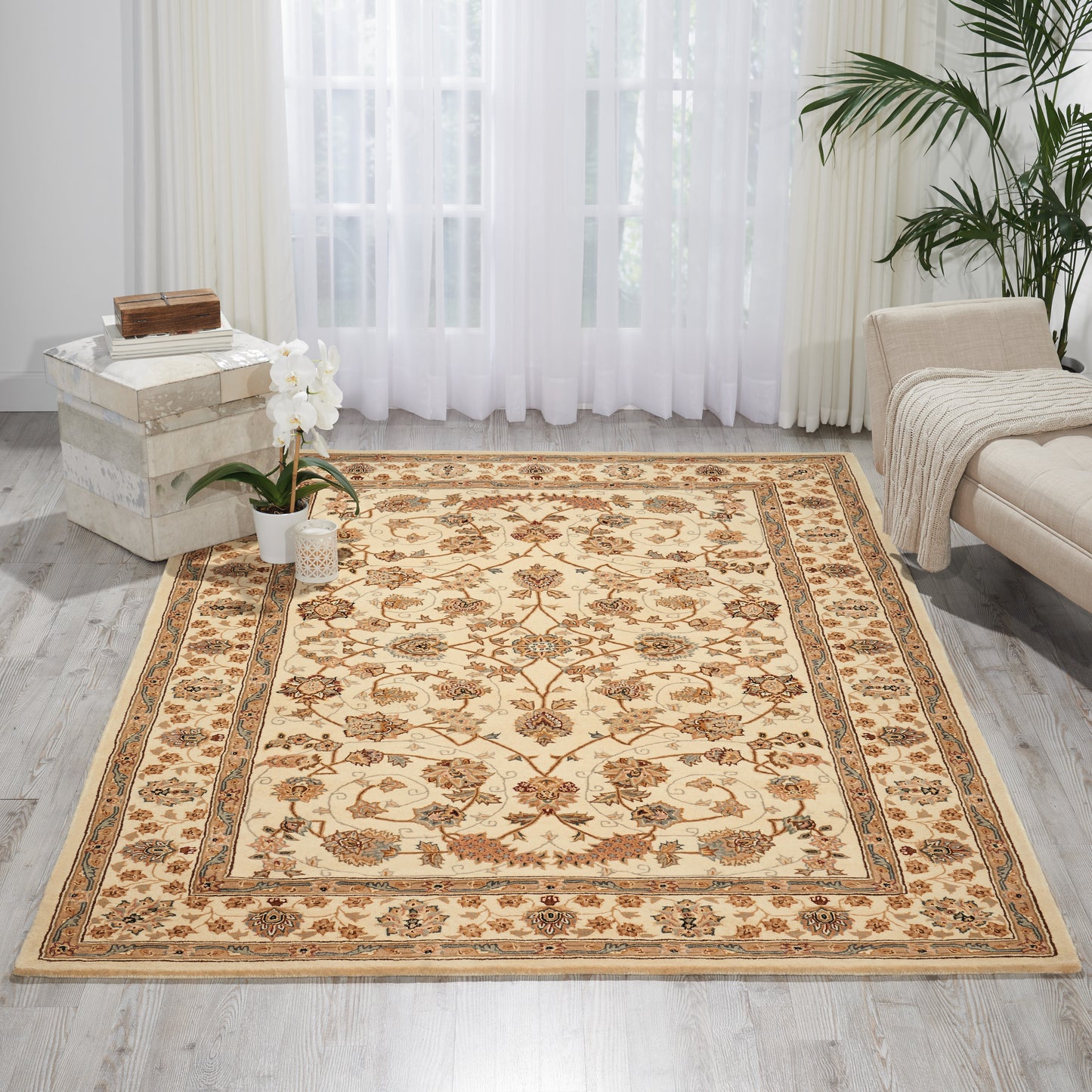 Rectangular cream oriental rug with tan floral border in bright living room; beige sofa, sheer curtains, potted plant.