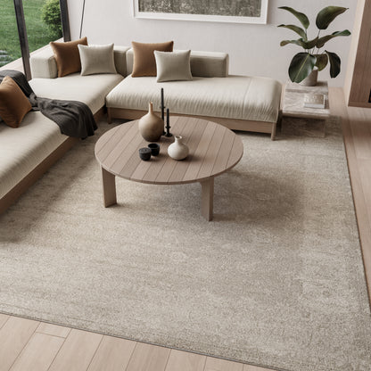Beige vintage rug in a minimalist living room.