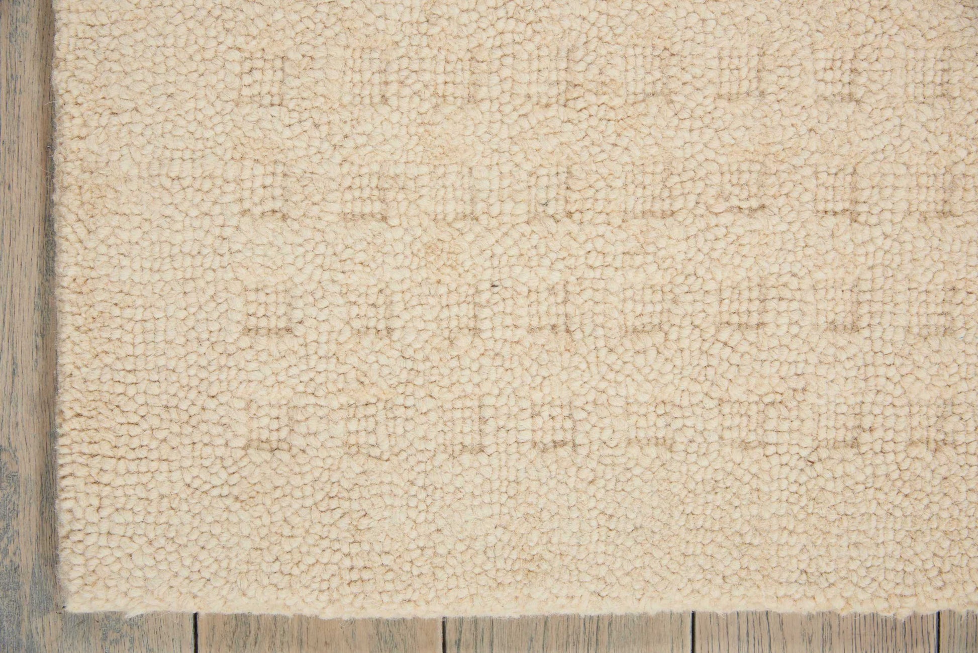 Beige shag area rug with soft loop pile on light wood floor; rectangular, cozy casual living-room decor.